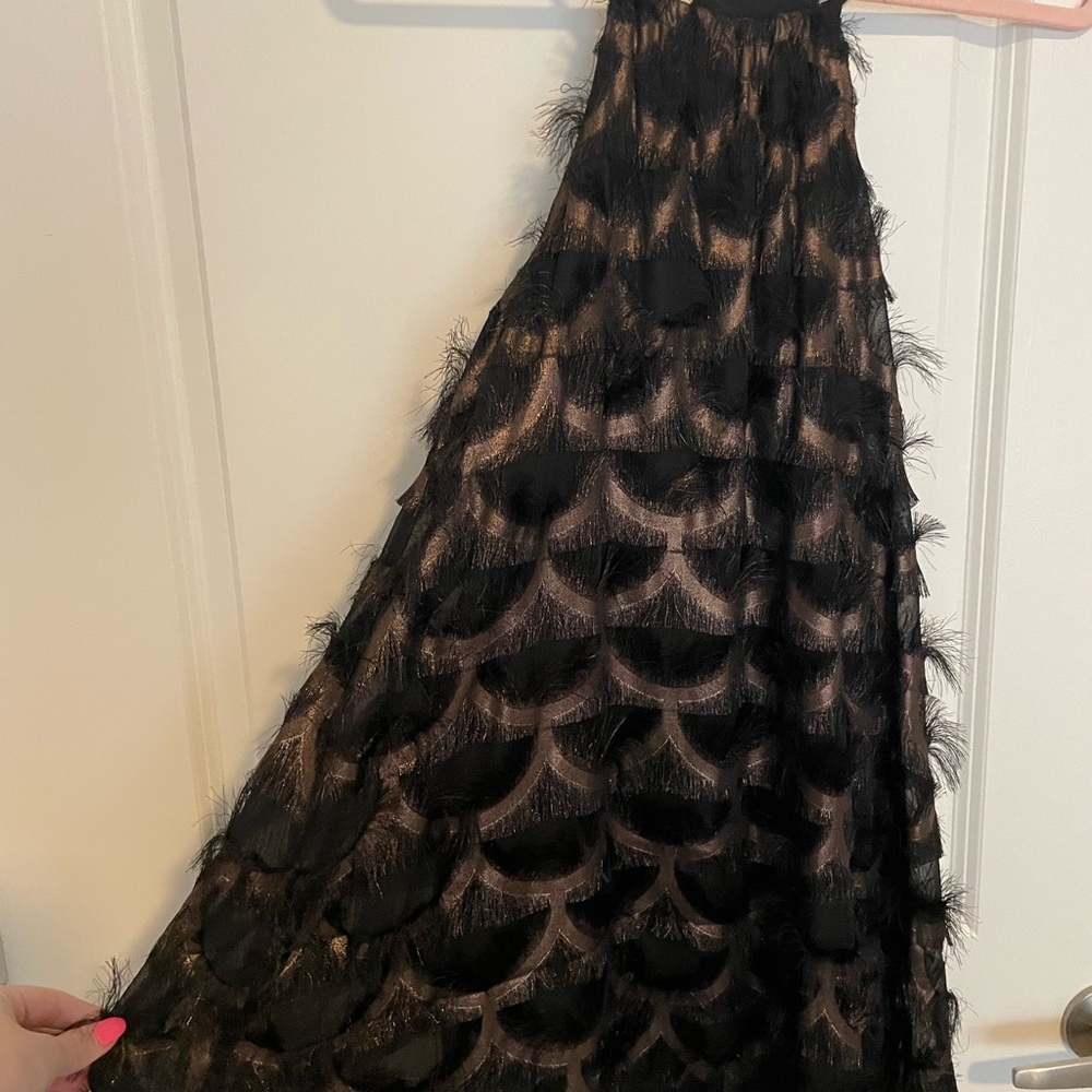 Elegant Black Feathered Dress